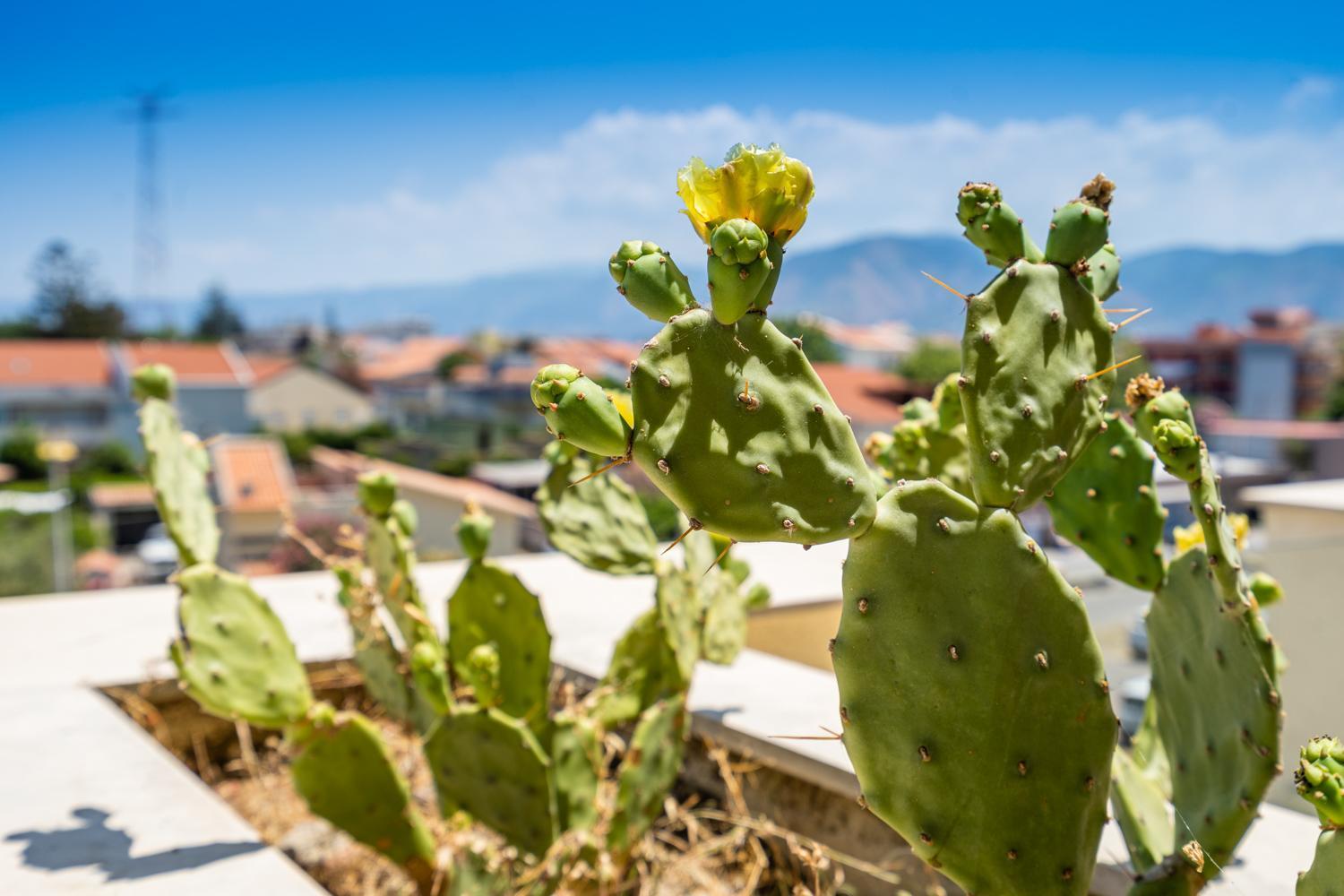 Capo Peloro (adults Only) 4*